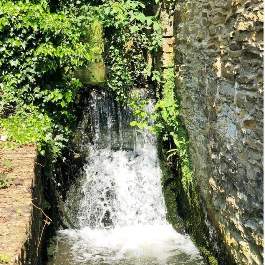 Seaves Mill Сasa de vacaciones *